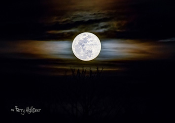 March Spring Moon By Terry Aldhizer